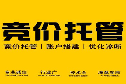 百度搜索推广案例集锦：实战技巧分享